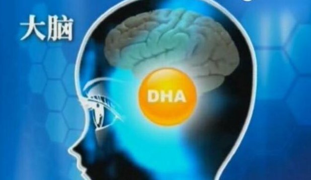 缺乏DHA,不仅仅只影响大脑发育，还有这些
