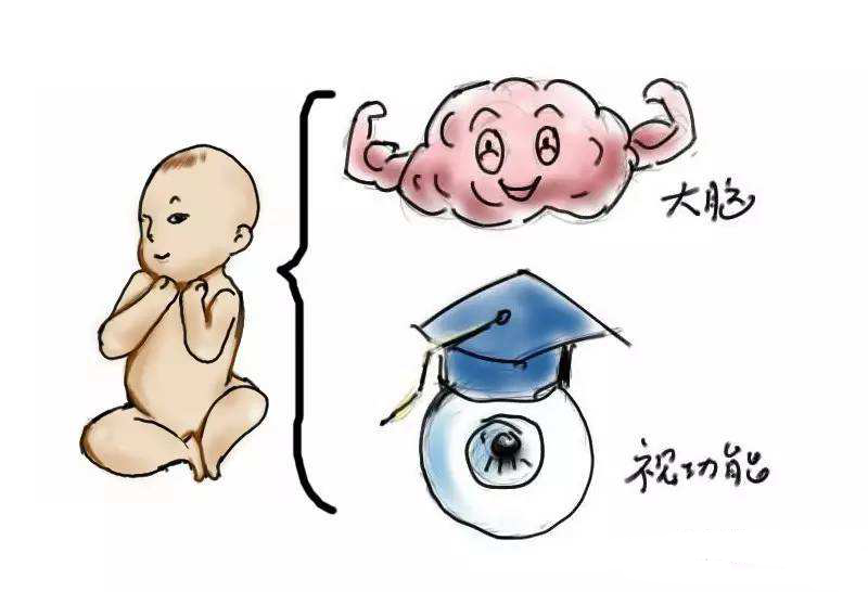 真相！为什么孕妇吃dha能让宝宝更聪明？