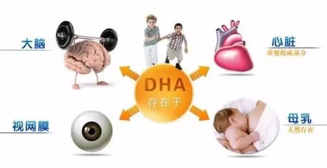DHA，关爱宝宝成长每一步