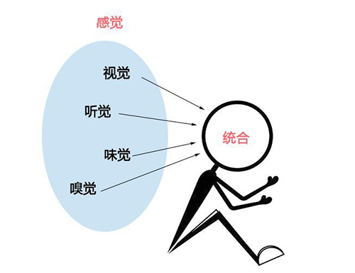 孩子注意力不集中，还可能是感统失调！